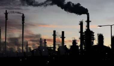 Europeanen krijgen te veel dioxines binnen, staat in een conceptversie van rapport Europese voedselautoriteit