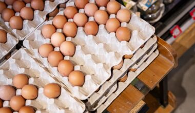 Kippenboeren zitten klem door vogelgriep en stikstof, terwijl het ei juist steeds geliefder (en duurder) is. Hoe verder?