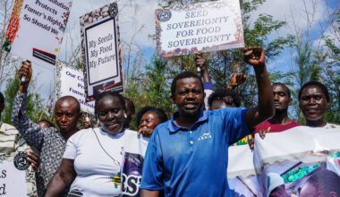 Keniaanse boeren winnen zaak om omstreden zadenwet