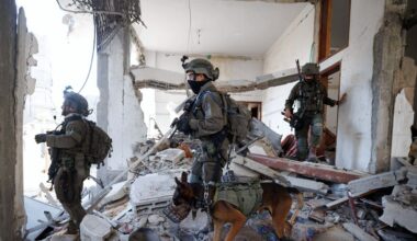 Achter de schermen zorgde Israël ervoor dat Nederland honden kon blijven leveren aan het Israëlische leger