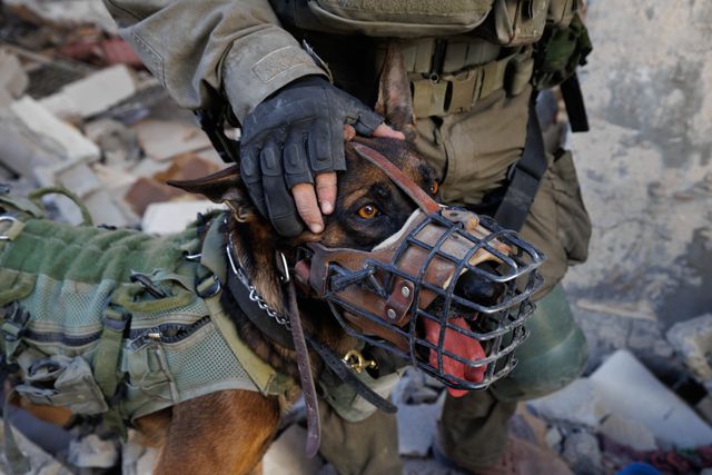 Een militair en diensthond van de Oketz-eenheid in Jabalia, ten noorden van Gaza-Stad, in december 2024.