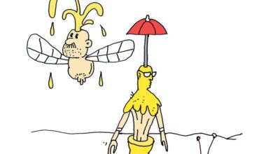 Opinie | Een nieuwe mens in een nieuwe wereld: zo moeten we omgaan met de klimaatcrisis