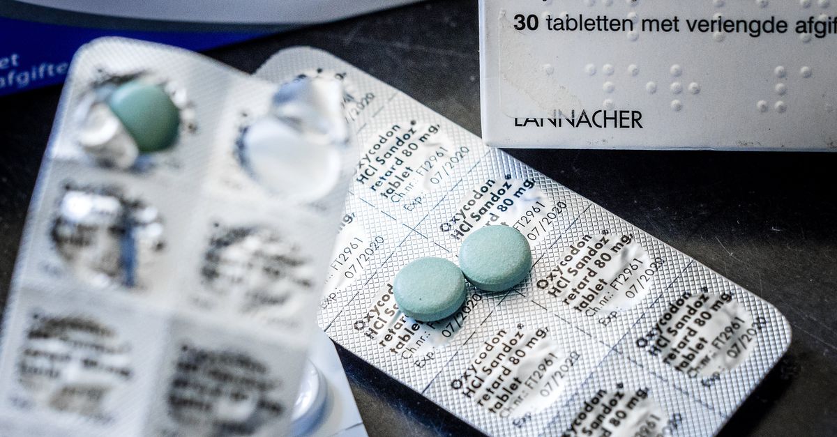 Opnieuw illegale medicijnenwebshop vervolgd na sterfgeval