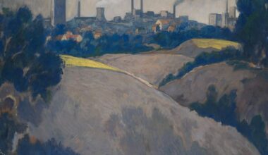 Limburgse kunstcollectie DSM geopend voor publiek in Heerlense musea