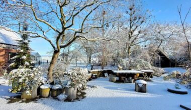 In beeld: Eerste sneeuw zorgt voor mooie plaatjes in Stad en Ommeland - RTV Noord
