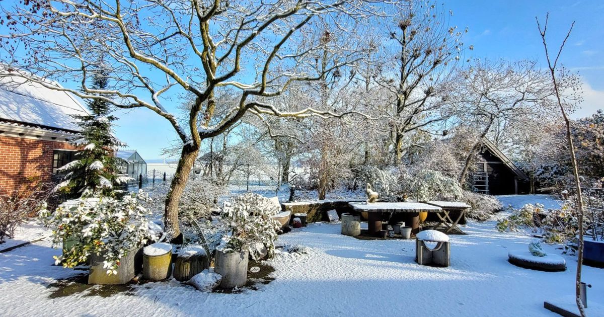 In beeld: Eerste sneeuw zorgt voor mooie plaatjes in Stad en Ommeland - RTV Noord