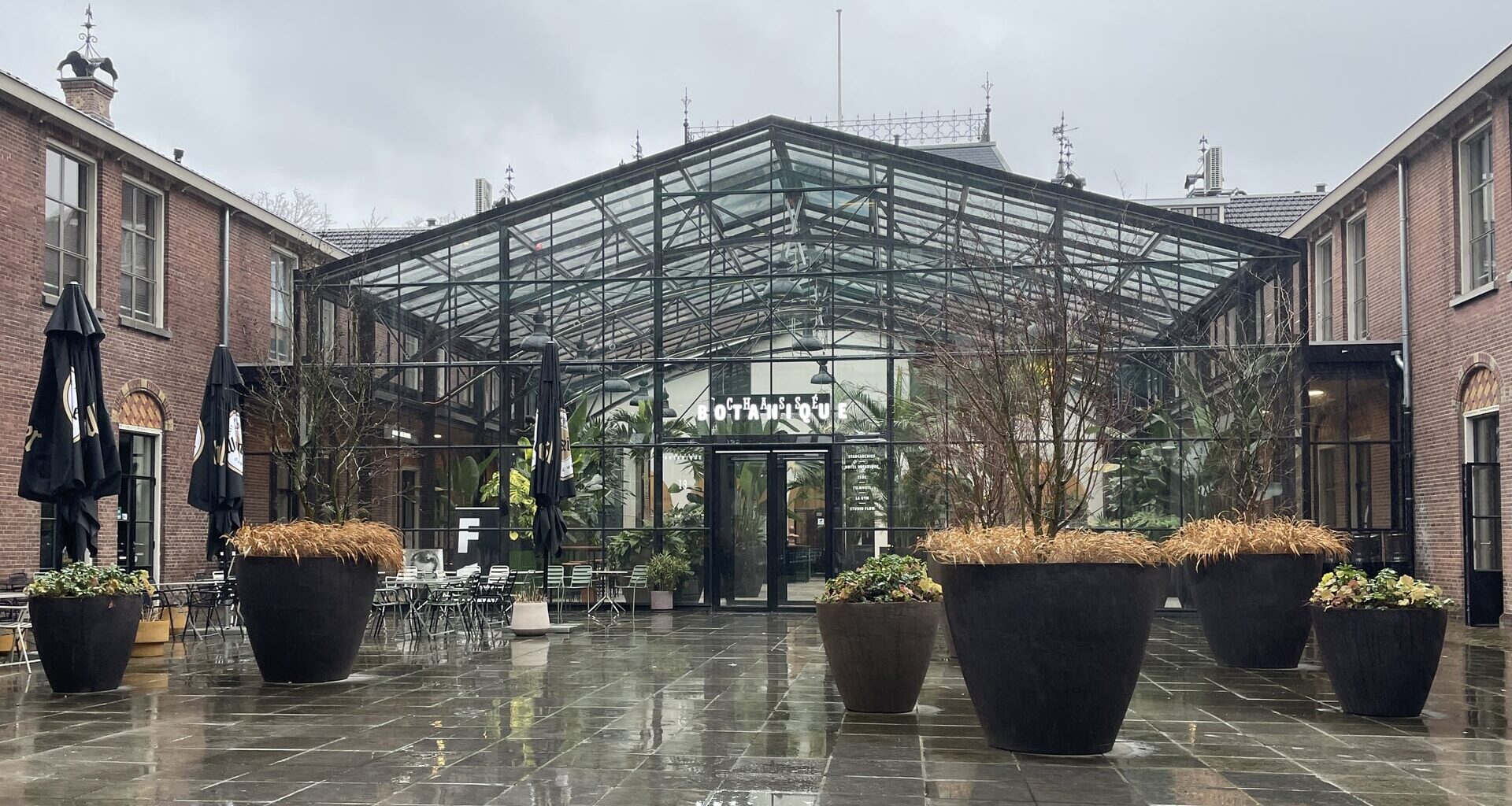 Bestsellerauteur Peter Buwalda komt naar Filmhuis Botanique voor nieuwe talkshowreeks | BredaVandaag