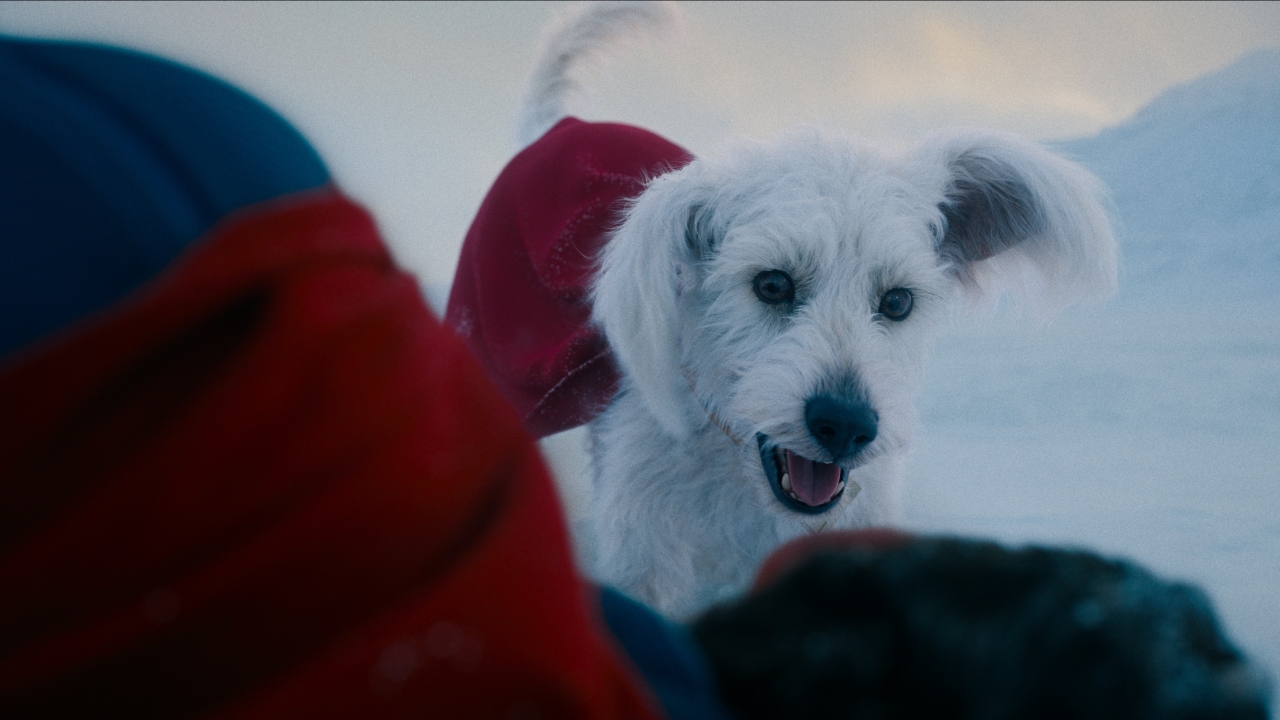 'Superman'-regisseur heeft helemaal genoeg van AI-kritiek: "Hou op met het zo te noemen!"