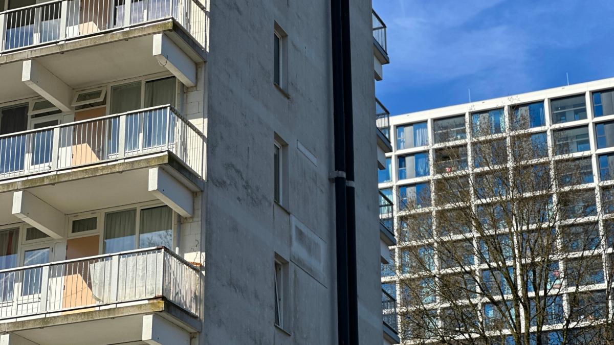 Gemeente investeert in woonproject waar ouderen en studenten samenwonen