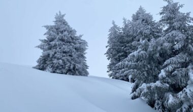Sneeuw off piste Avoriaz
