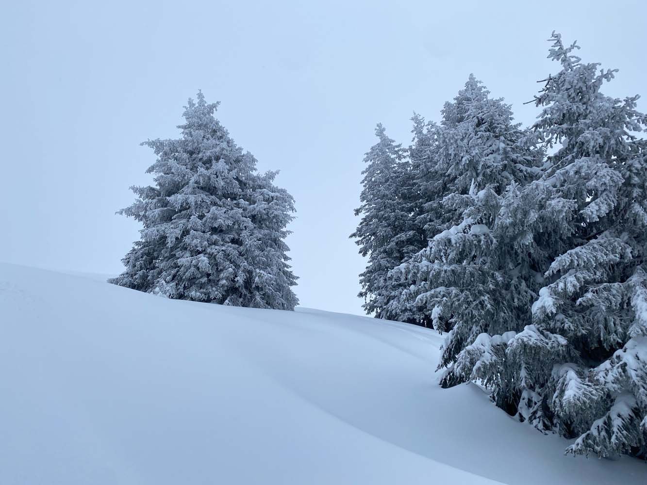 Sneeuw off piste Avoriaz