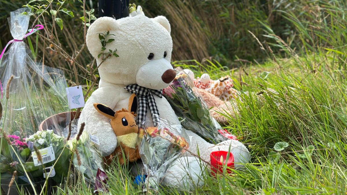 Verdachte van moord op Lisa aanwezig op eerste zitting