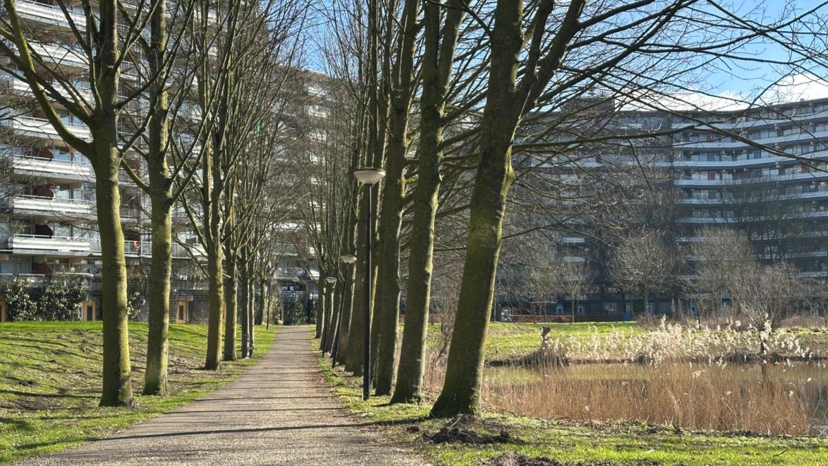 Jongen (14) ontvoerd, mishandeld en vernederd in kelderbox, drie minderjarigen aangehouden