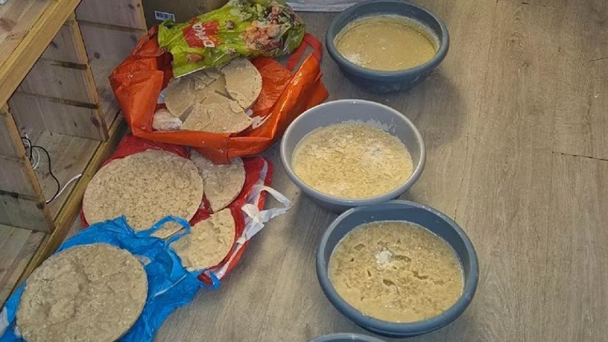 Cocaïnelab in woning: zes Colombianen, een Dominicaan en een Hagenees gearresteerd - AT5