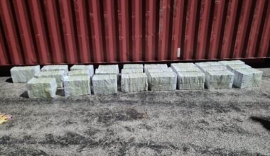 Opnieuw flinke drugsvondst in Amsterdamse haven: 250 kilo cocaïne onderschept