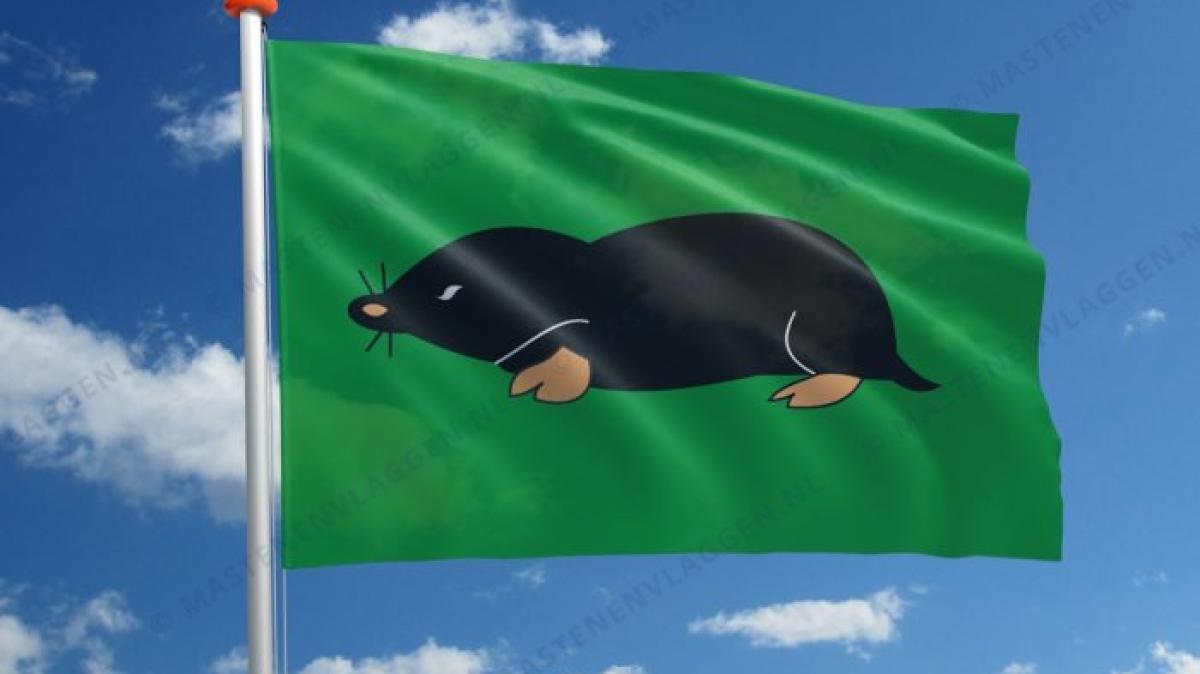 Wat maakt een dorpsvlag goed?