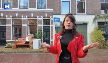 'Trashkunst' van Mirjam Verschoor prikkelt op Kunstlijn Haarlem