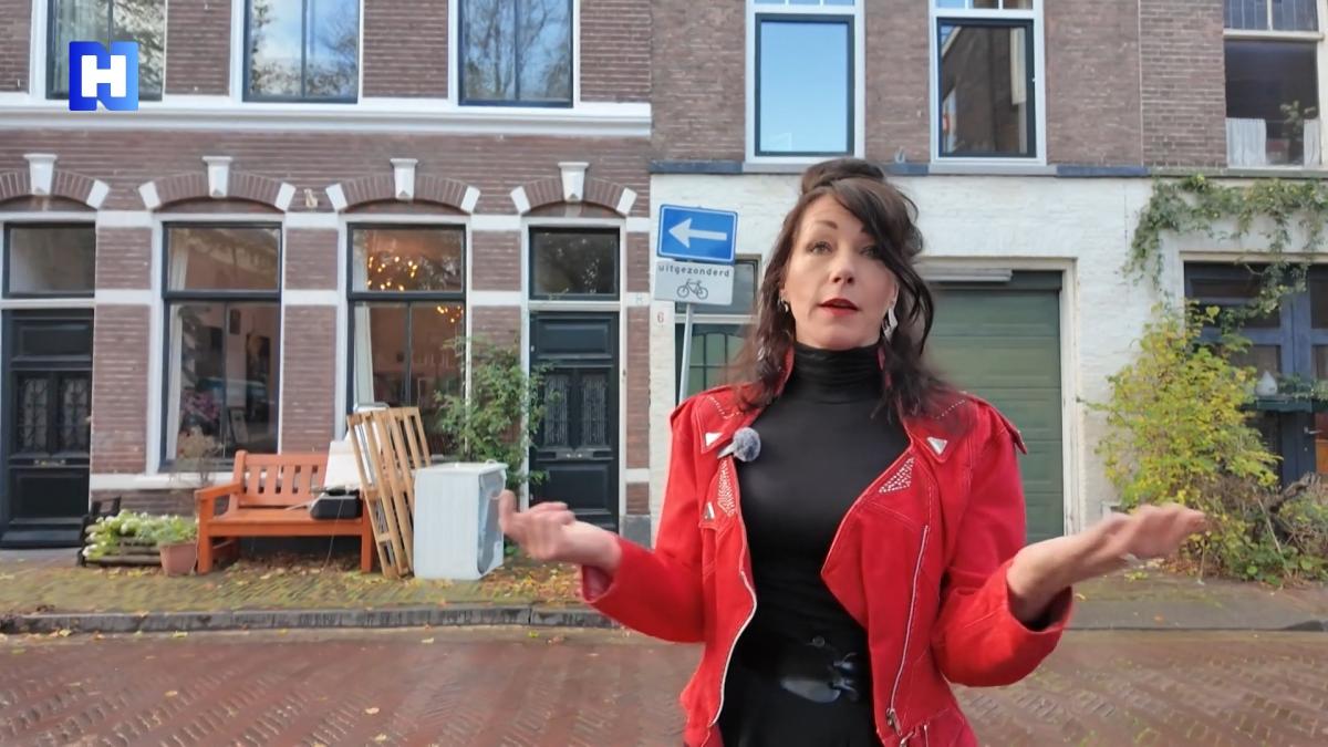 'Trashkunst' van Mirjam Verschoor prikkelt op Kunstlijn Haarlem