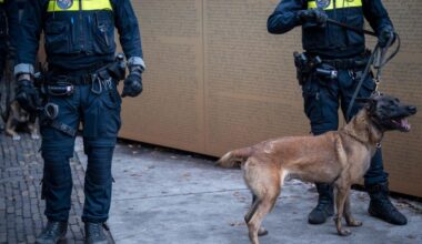 OM vraagt vrijspraak voor agent na aanval van diensthond: "Zelden zulke gruwelijke wonden gezien"