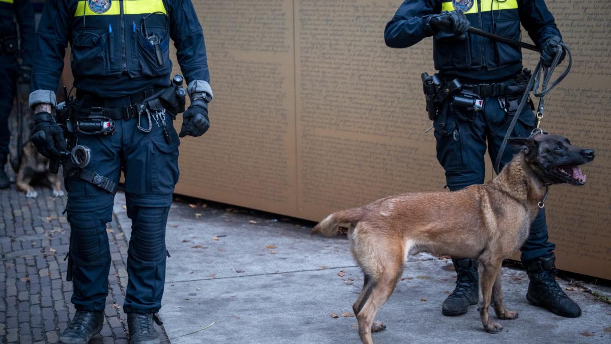OM vraagt vrijspraak voor agent na aanval van diensthond: "Zelden zulke gruwelijke wonden gezien"