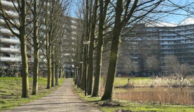 Jongen (14) ontvoerd, mishandeld en vernederd in kelderbox, drie minderjarigen aangehouden