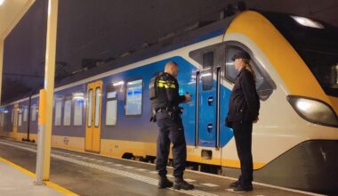 Politie haalt man (33) met pistool uit trein