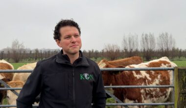 Stikstofplannen provincie Utrecht klap voor boer Bertel: 'Het voelt als een pistool tegen je hoofd'