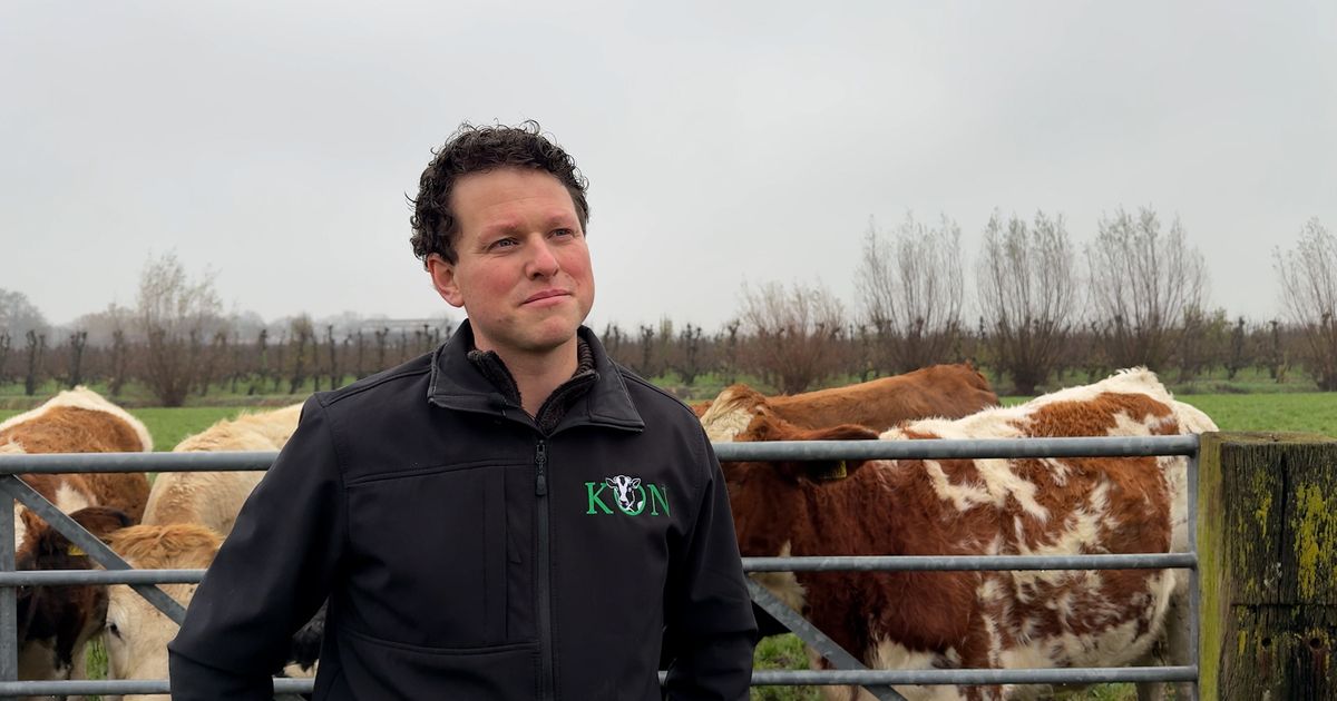 Stikstofplannen provincie Utrecht klap voor boer Bertel: 'Het voelt als een pistool tegen je hoofd'