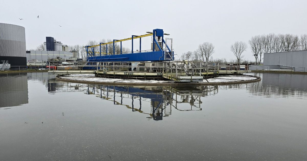 Opnieuw prijsstijging bij waterschappen - RTV Noord