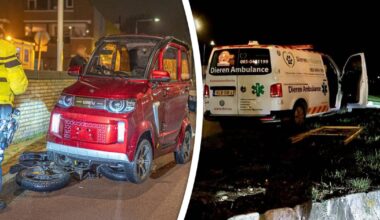 Fatbike botst op gehandicaptenauto, dierenambulance belandt middenop rotonde
