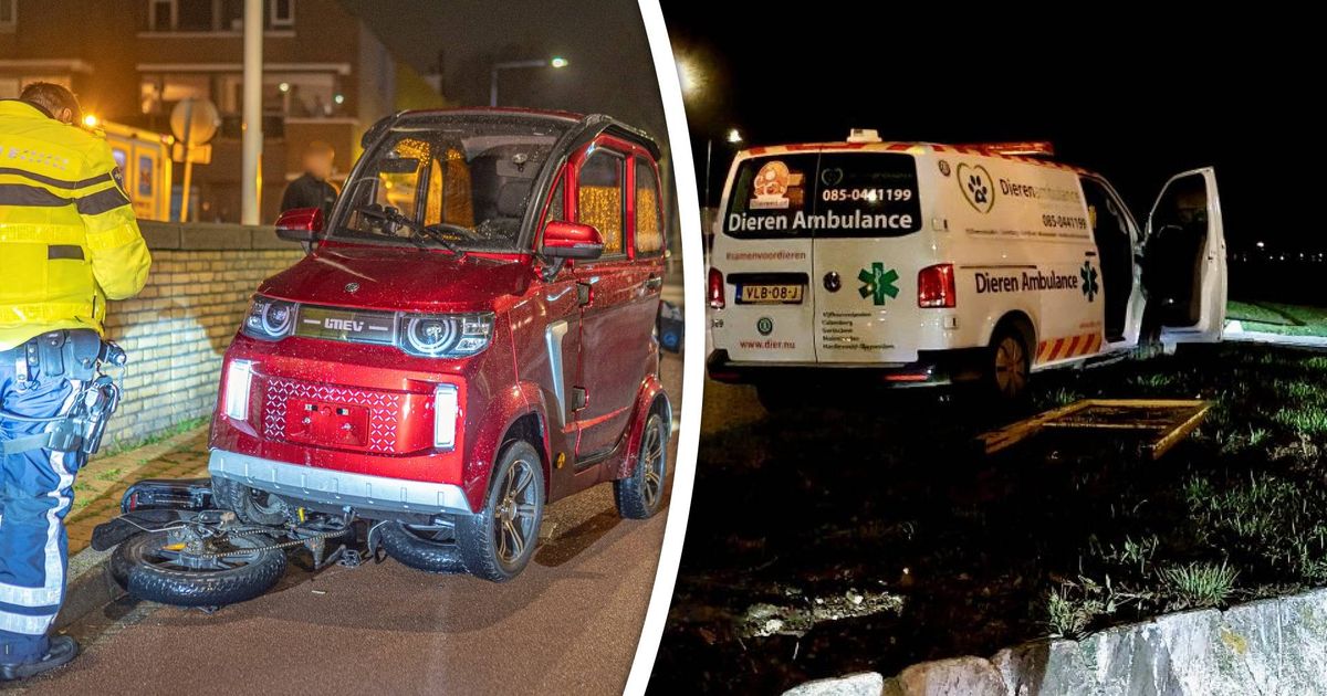 Fatbike botst op gehandicaptenauto, dierenambulance belandt middenop rotonde