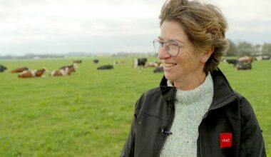 De Nederlandse Yke Kloppenburg boert al meer dan 20 jaar met haar man in Denemarken