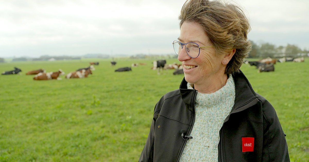 De Nederlandse Yke Kloppenburg boert al meer dan 20 jaar met haar man in Denemarken