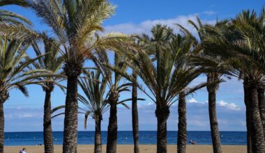 ‘Box 3-effect’ jaagt Nederlandse huizenkoper Spaanse markt op - Het Financieele Dagblad