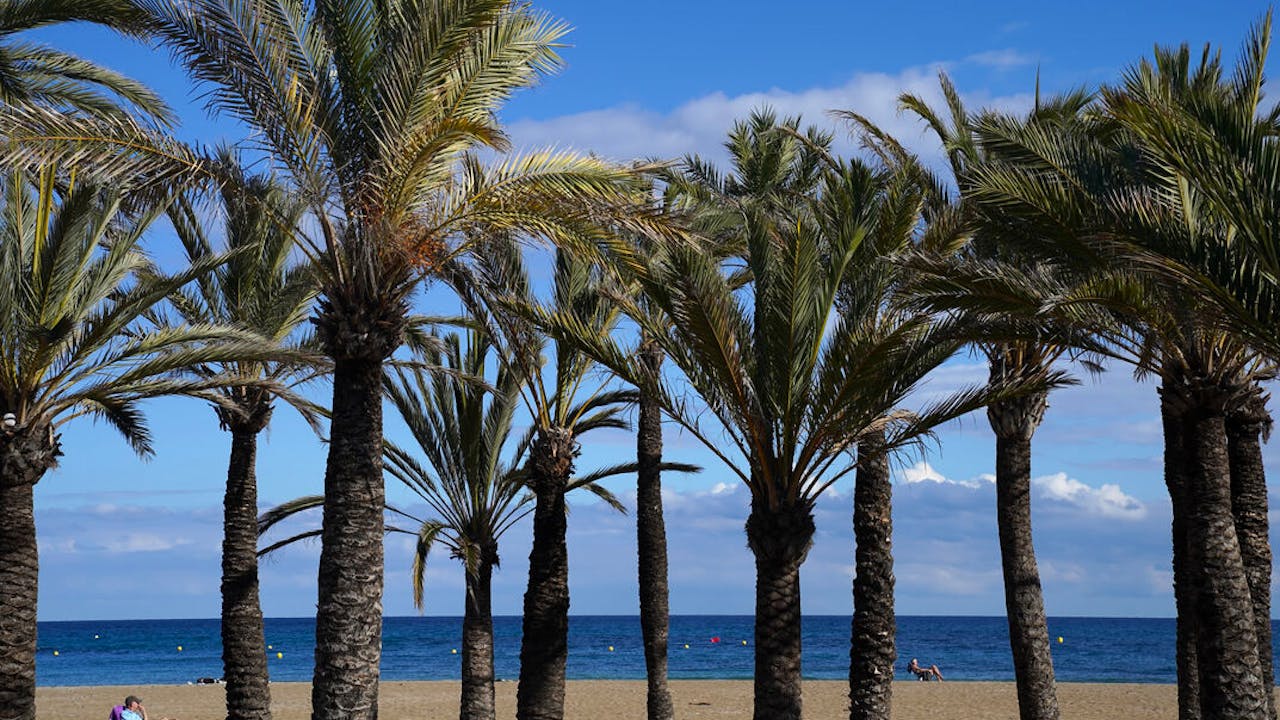 ‘Box 3-effect’ jaagt Nederlandse huizenkoper Spaanse markt op - Het Financieele Dagblad