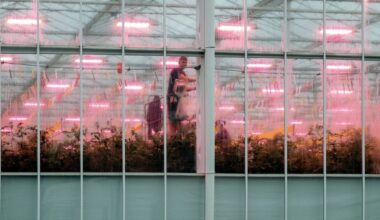 Gasprijs daalt door vredesgesprekken in Oekraïneoorlog - Het Financieele Dagblad