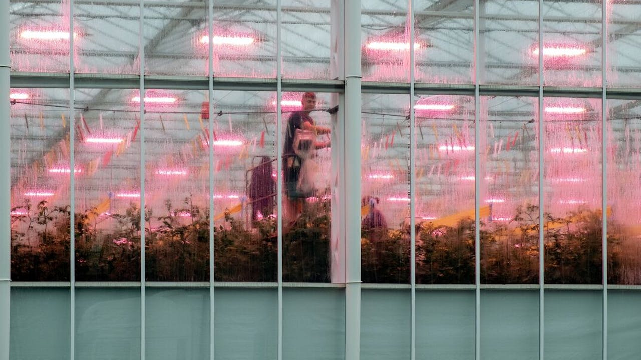 Gasprijs daalt door vredesgesprekken in Oekraïneoorlog - Het Financieele Dagblad