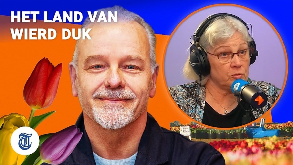 'Rot in media veel breder dan BBC'