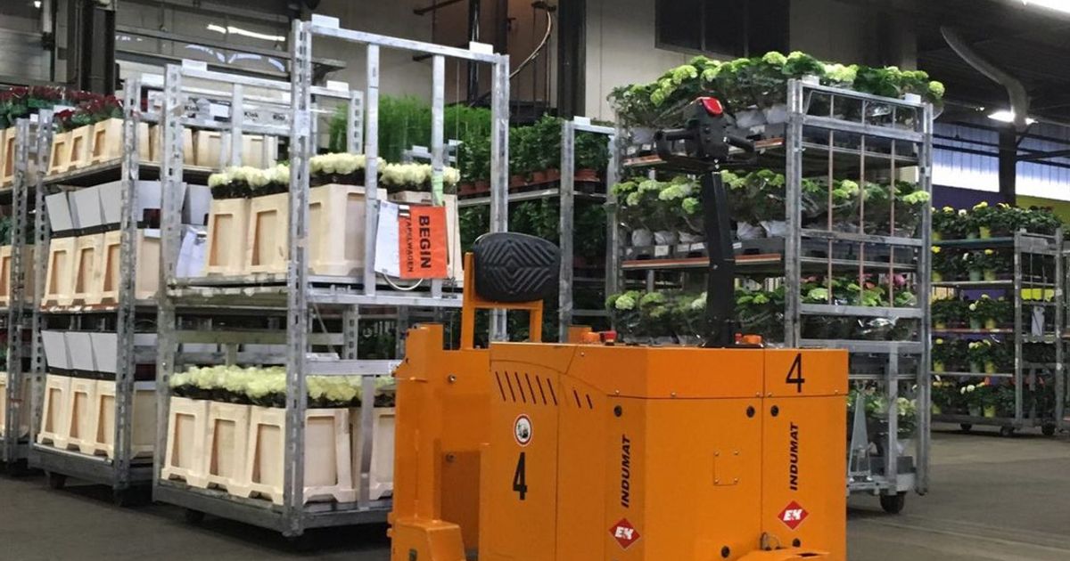 Bloemenveiling verdwijnt uit Eelde, Royal FloraHolland sluit de vestiging