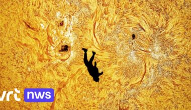 "De val van Icarus": fotograaf maakt spectaculaire foto van parachutist in vrije val voor de zon