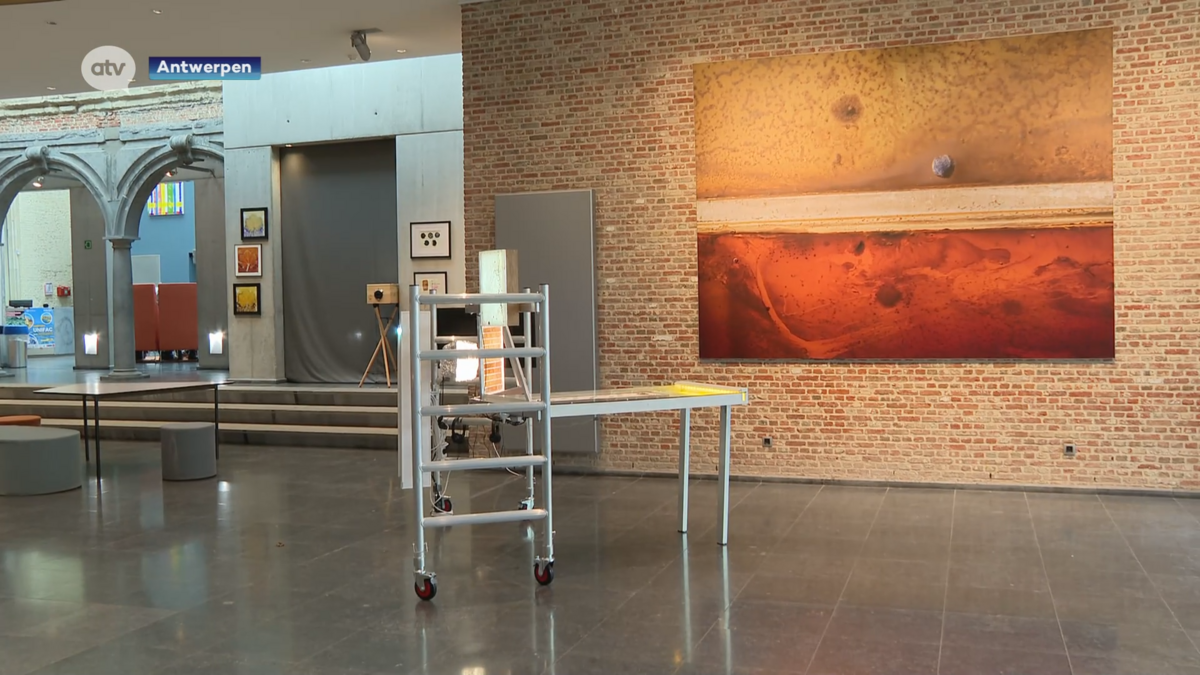 Kunst met microben en schimmels: nieuwe expo "Shifting Scales" op de Universiteit Antwerpen