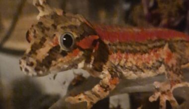 'Dachten dat het een grap was'