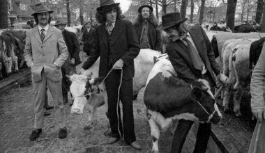 Grote eer lonkt voor boerenrockers Normaal en 'høken'