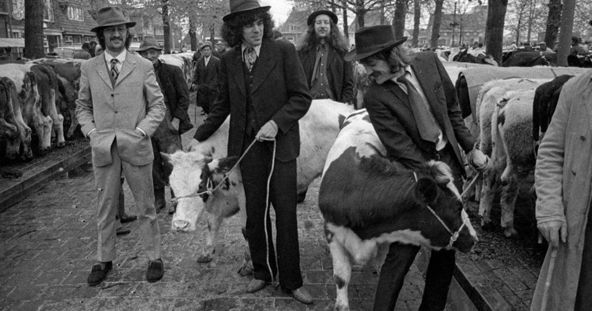 Grote eer lonkt voor boerenrockers Normaal en 'høken'