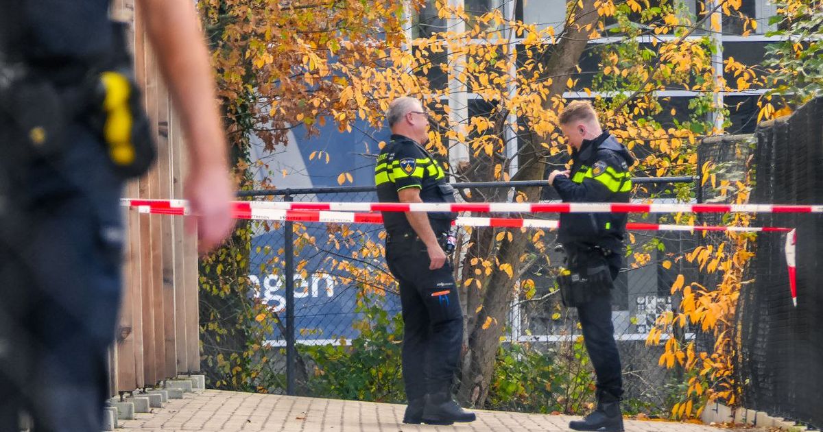 112 nieuws: Auto rijdt tegen boom in buitengebied Ommen - RTV Oost