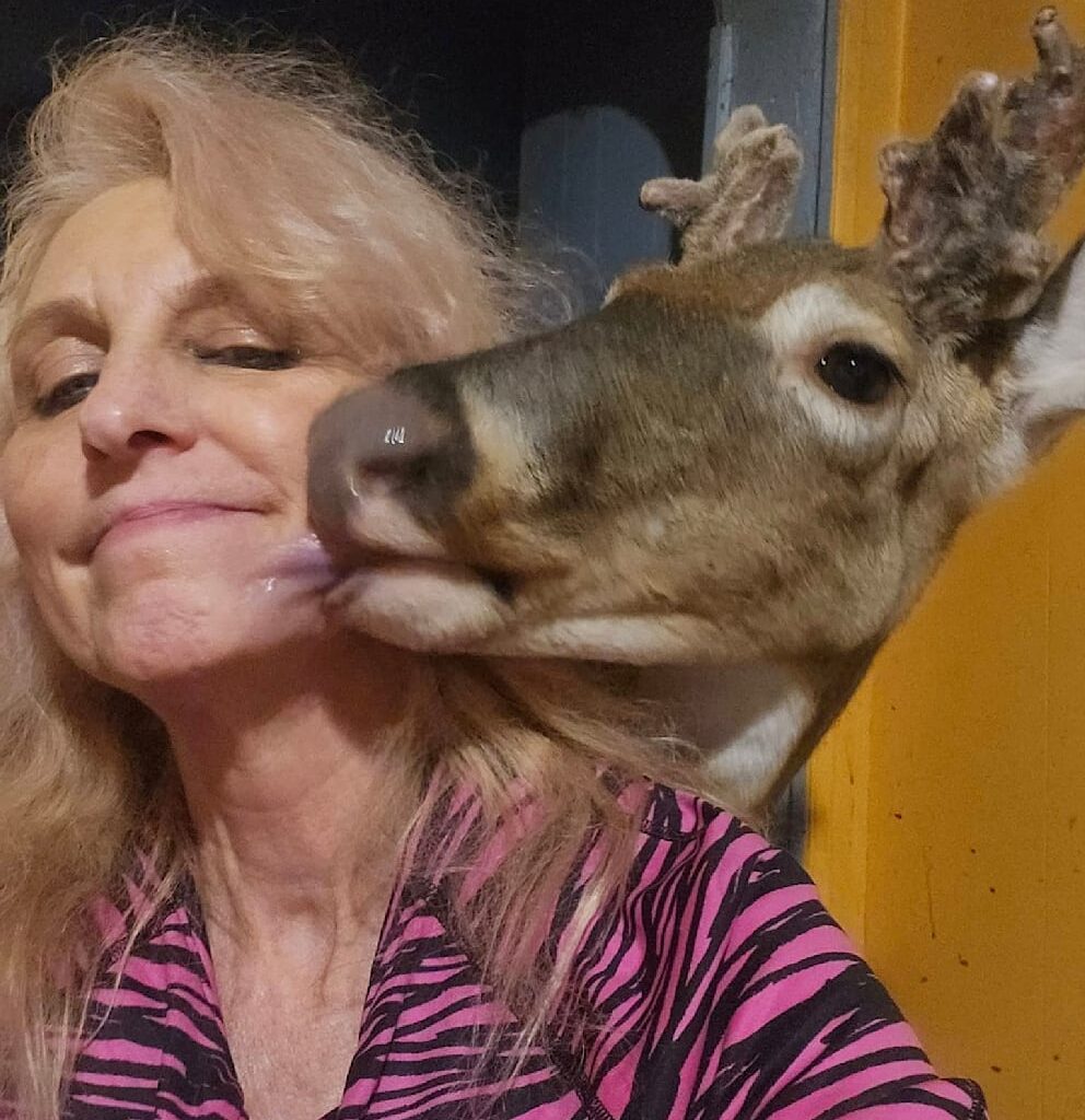 Jodi zorgde jarenlang voor de verweesde Wheezer.