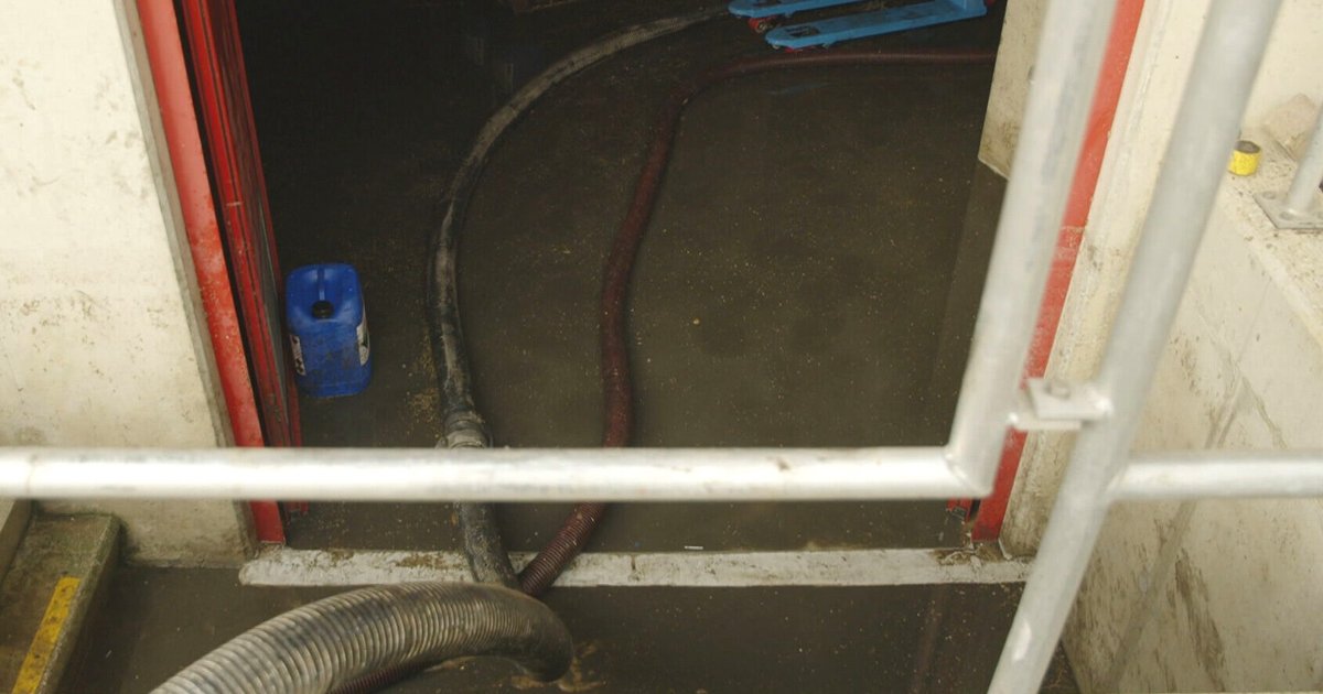 Een stroomstoring zorgde er in Brabant voor dat het wc-water niet meer gezuiverd kon worden