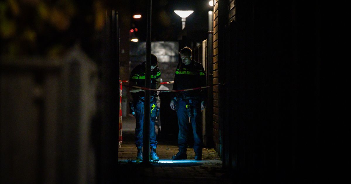 Gewonden bij steekpartijen - Rijnmond