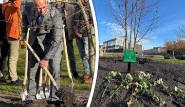 Slachtoffers seriemoordenaar IJsselmonde krijgen blijvend monument