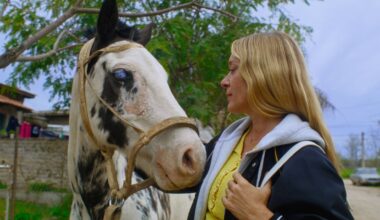 'Magic Farm': unieke ultra-gestileerde maatschappijkritiek
